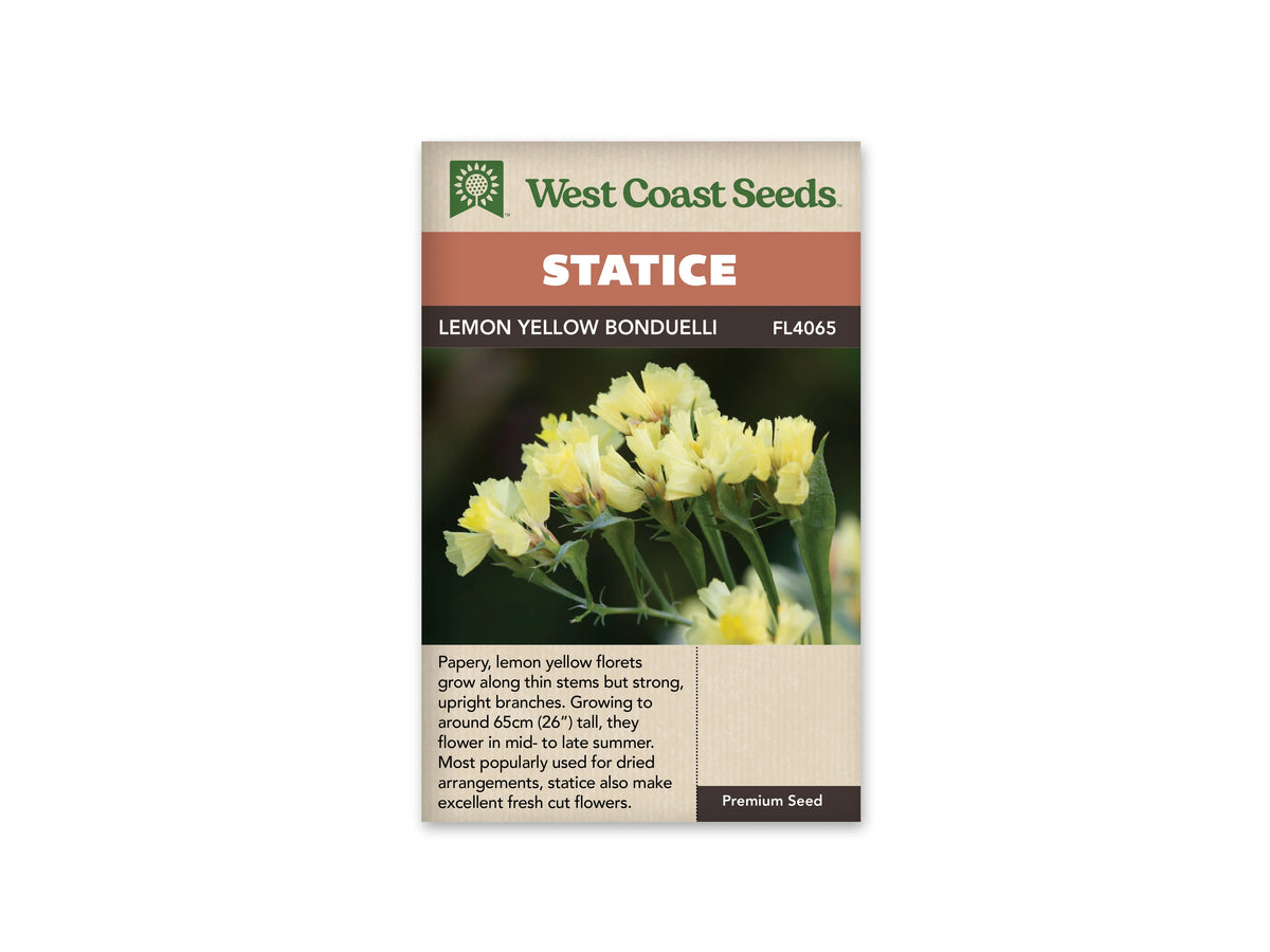 Le sachet West Coast Seeds montre des tiges vertes fines et ramifiées portant des groupes de petites fleurs jaune citron. Les calices jaunes forment des bouquets légers au sommet des ramifications. Le fond vert sombre est flou et fait ressortir la couleur des fleurs. Le bandeau indique Lemon Yellow Bonduelli ainsi que la référence FL4065.