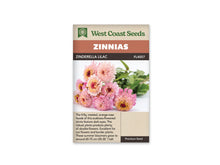 Sachet West Coast Seeds Zinderella Lilac, illustré d’un bouquet posé sur fond clair. Les fleurs roses ont des centres frisés, parfois marqués de rouge foncé et de jaune. Les tiges et les feuilles vertes s’étendent vers la droite. Le nom de la sélection figure dans le bandeau brun au-dessus de la photo.