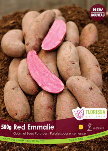 Gourmet Potato 'Red Emmalie' (500 g)