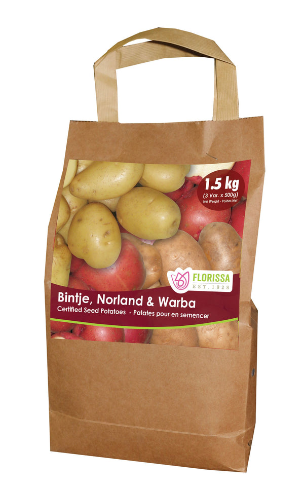 Potato 'Combo Sack' (1.5 kg - C2)