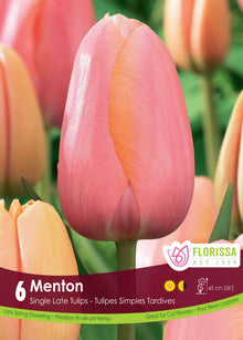 Tulipe Menton ( Tulipa ) : une tulipe rose saumon en coupe allongée. Le visuel Florissa présente la plante et son nom dans la partie inférieure de l’étiquette. La photographie occupe presque toute la surface, tandis que le bandeau du bas rassemble les indications du produit. Cette vue permet de reconnaître son apparence et de distinguer la variété présentée.
