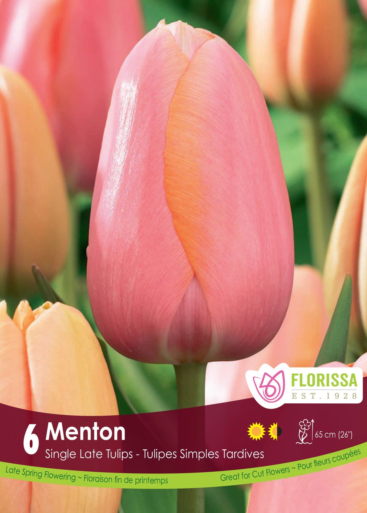 Tulipe Menton ( Tulipa ) : une tulipe rose saumon en coupe allongée. Le visuel Florissa présente la plante et son nom dans la partie inférieure de l’étiquette. La photographie occupe presque toute la surface, tandis que le bandeau du bas rassemble les indications du produit. Cette vue permet de reconnaître son apparence et de distinguer la variété présentée.