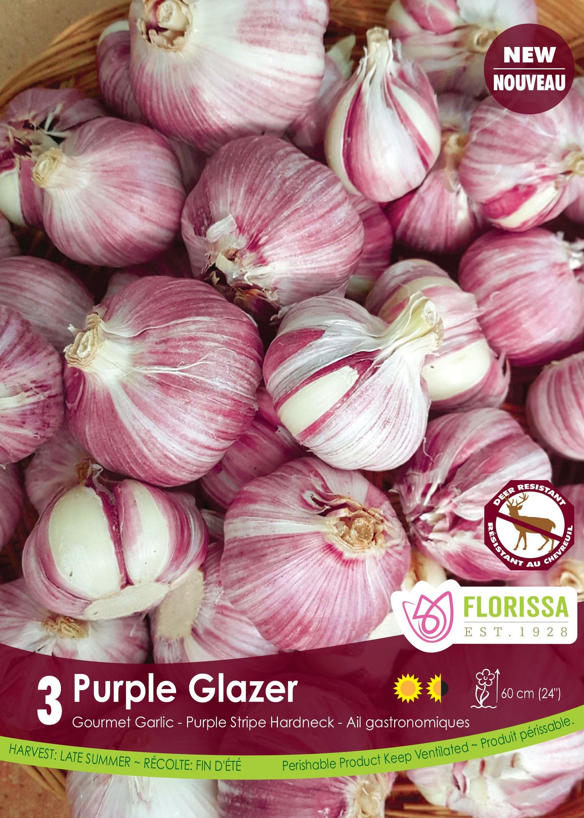 Ail Purple Glazer (<em>Allium sativum var. ophioscorodon</em> ‘Purple Glazer’)