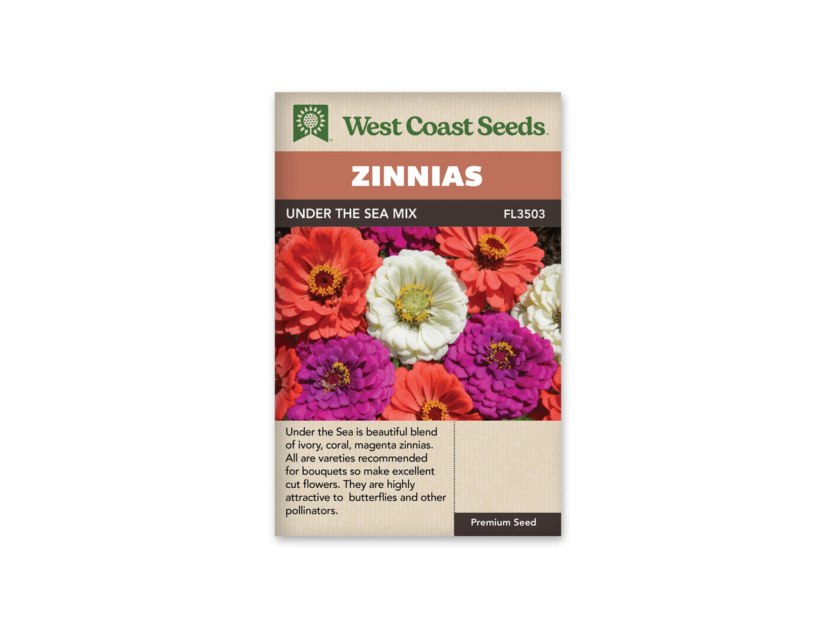 Sachet West Coast Seeds Under The Sea Mix montrant des fleurs corail, ivoire et magenta serrées les unes contre les autres. Plusieurs rangs de pétales entourent des centres clairs ou foncés marqués de jaune. Les fleurs remplissent la photo, placée sous le bandeau brun portant le nom du mélange de semences.