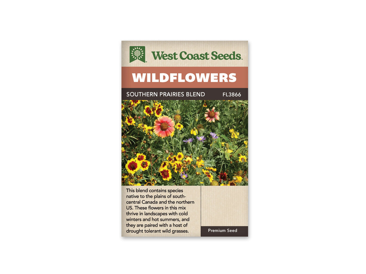 Sachet West Coast Seeds Southern Prairies Blend montrant des fleurs jaunes à centre rouge brun, de grandes fleurs orange rosé et de petites touches violettes. Les capitules se répartissent dans un feuillage vert dense. Plusieurs boutons et têtes défleuries sont visibles entre les fleurs ouvertes. La photo présente un mélange de tailles et de silhouettes florales.