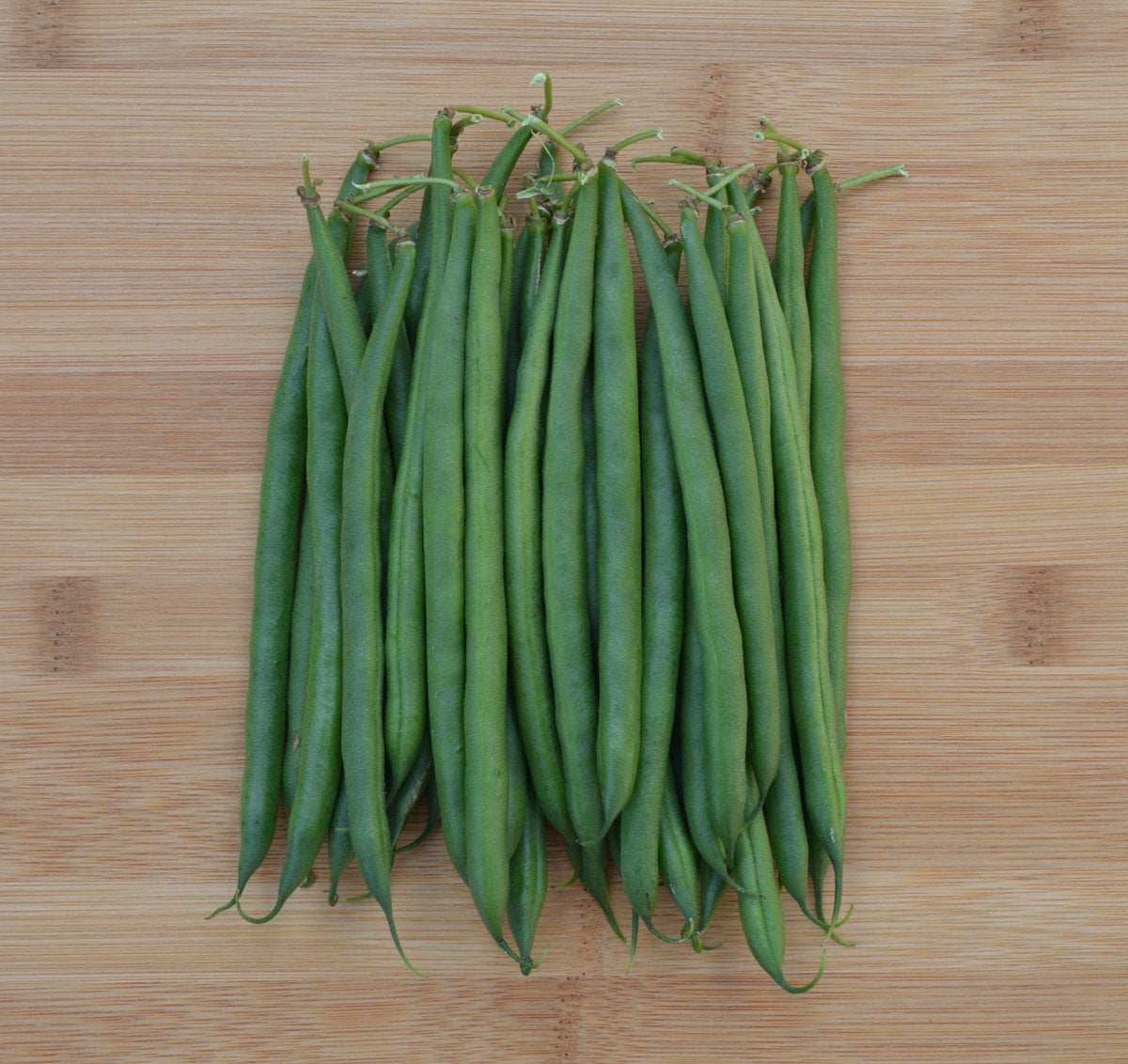 Photographie de Haricot vert (Phaseolus vulgaris ‘Sybaris’), sélection proposée en semences W.H. Perron. Le visuel présente l’apparence de la plante ou de sa récolte et permet d’en observer les formes et les couleurs. Cette vue illustre les caractéristiques visibles de la sélection, dans une présentation destinée à accompagner son identification et à montrer son intérêt au jardin.
