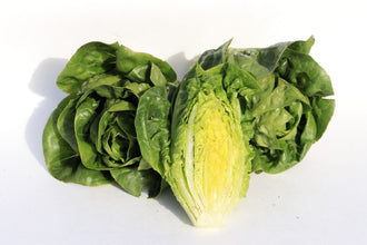Photographie de Laitue mini romaine verte (Lactuca sativa ‘Sucrette’), sélection proposée en semences W.H. Perron. Le visuel présente l’apparence de la plante ou de sa récolte et permet d’en observer les formes et les couleurs. Cette vue illustre les caractéristiques visibles de la sélection, dans une présentation destinée à accompagner son identification et à montrer son intérêt au jardin.