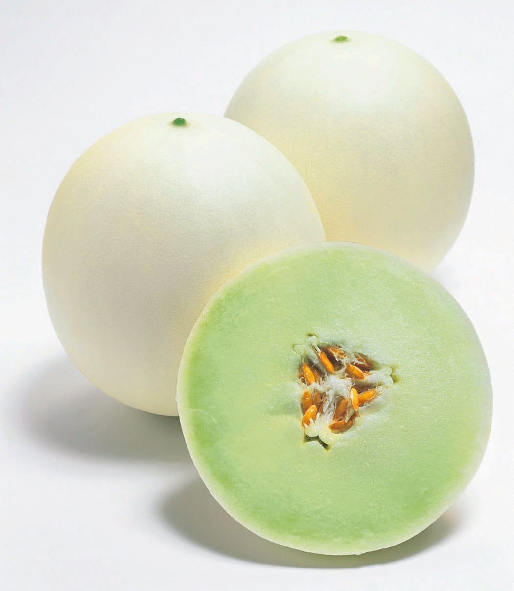 Photographie de Melon miel (Cucumis melo ‘Honeycomb’), sélection proposée en semences W.H. Perron. Le visuel présente l’apparence de la plante ou de sa récolte et permet d’en observer les formes et les couleurs. Cette vue illustre les caractéristiques visibles de la sélection, dans une présentation destinée à accompagner son identification et à montrer son intérêt au jardin.
