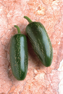 Photographie de Piment fort vert (Capsicum annuum ‘Jalapeno’), sélection proposée en semences W.H. Perron. Le visuel présente l’apparence de la plante ou de sa récolte et permet d’en observer les formes et les couleurs. Cette vue illustre les caractéristiques visibles de la sélection, dans une présentation destinée à accompagner son identification et à montrer son intérêt au jardin.
