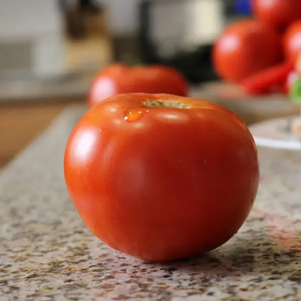 Photo de Tomate Célébrité Plus F1. La couleur caractéristique est : rouge. Le visuel permet d’observer les contours, les teintes et la disposition des éléments présentés. Les détails de forme et les contrastes donnent un aperçu de l’apparence de cette plante ou de sa récolte. Cette photographie accompagne la variété nommée afin de l’identifier dans la sélection de semences.