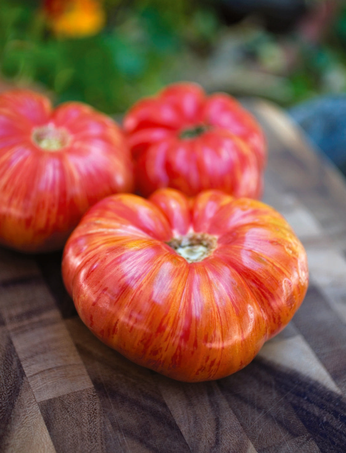Photographie de Tomate du patrimoine rayée (Solanum lycopersicum), sélection proposée en semences W.H. Perron. Le visuel présente l’apparence de la plante ou de sa récolte et permet d’en observer les formes et les couleurs. Cette vue illustre les caractéristiques visibles de la sélection, dans une présentation destinée à accompagner son identification et à montrer son intérêt au jardin.
