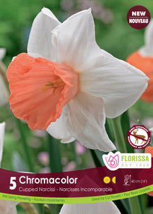 Narcisse Chromacolor ( Narcissus ) : un narcisse blanc à large trompette rose corail. Le visuel Florissa présente la plante et son nom dans la partie inférieure de l’étiquette. La photographie occupe presque toute la surface, tandis que le bandeau du bas rassemble les indications du produit. Cette vue permet de reconnaître son apparence et de distinguer la variété présentée.