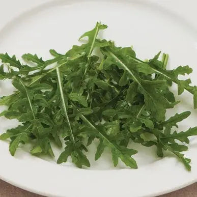 Roquette 'Bellezia' bio