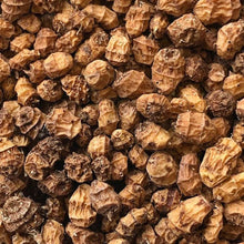 Souchet comestible (<em>Cyperus esculentus var. sativus</em>)