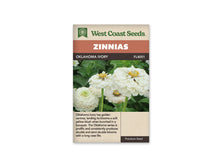 Sachet West Coast Seeds Oklahoma Ivory illustré de fleurs blanc ivoire portées par des tiges vertes. Les pétales sont superposés en plusieurs rangs, avec de petites fleurs jaunes au centre de certaines têtes. Le feuillage vert remplit le fond. Le nom de la sélection se lit dans le bandeau brun au-dessus de la photo.