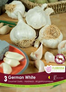 German White Garlic