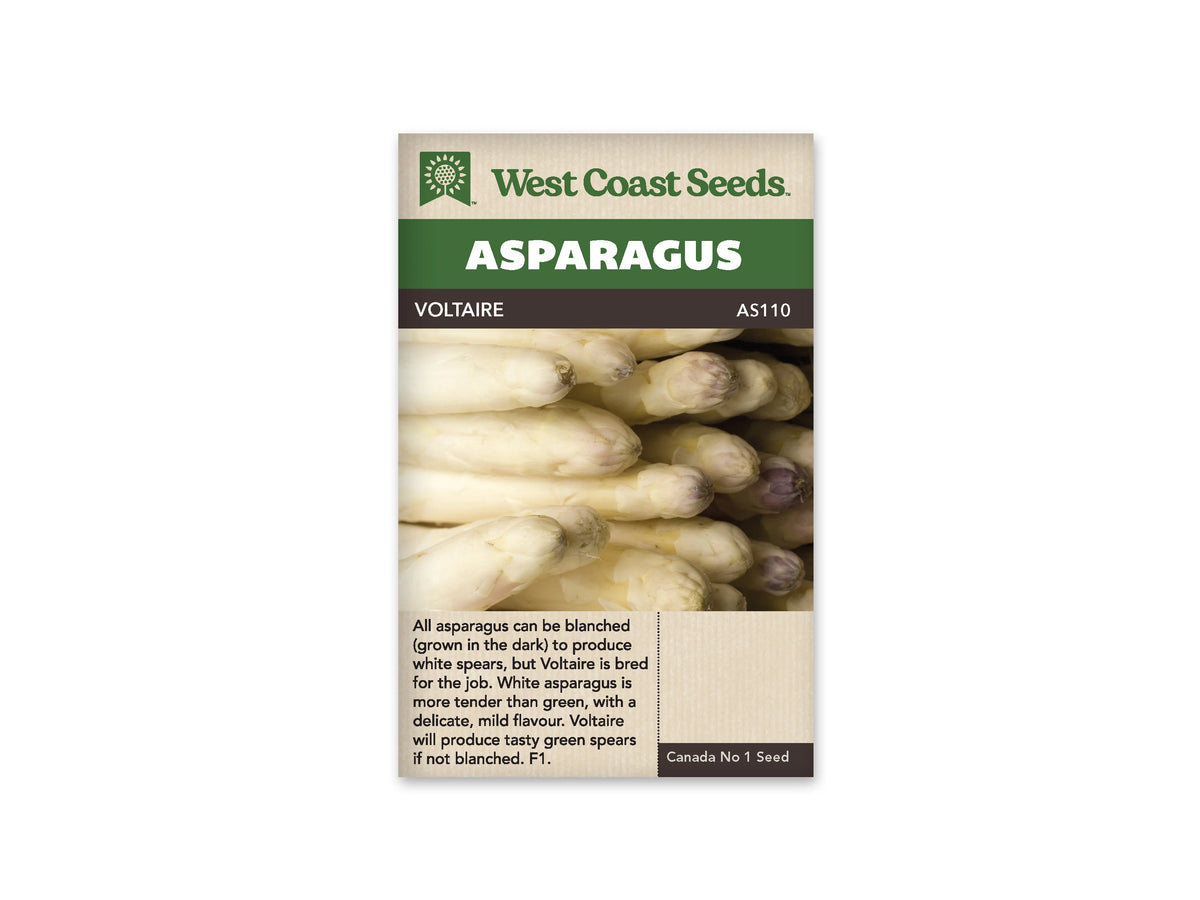 Sachet de semences d’asperge Voltaire de West Coast Seeds, présenté de face sur fond blanc. Le nom Voltaire et la référence AS110 apparaissent sous le bandeau vert Asparagus. La photographie centrale montre un ensemble de turions blancs à pointes fermées, avec quelques nuances mauves sur certaines extrémités. La partie beige inférieure porte des renseignements en anglais sur la production d’asperges blanches et vertes.