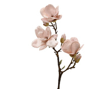 Tige de magnolia décorative – Rose poudré