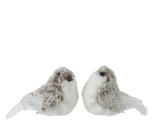 Oiseau de Noël sur clip – Blanc et gris
