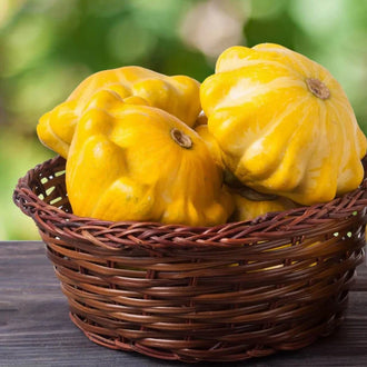 Semences Hortinova de Pâtisson jaune, produit destiné au potager et présenté pour identifier clairement le cultivar avant le semis. Vue 1 de l'emballage ou du produit, à utiliser comme repère visuel avec les conseils de culture, l'exposition, l'arrosage et la récolte indiqués dans la fiche française de Pépinière.ca. Pour Pâtisson jaune, des observations régulières permettent d'ajuster les soins aux conditions réelles du jardin.