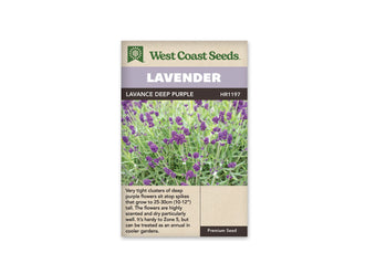 Sachet de lavande Lavance Deep Purple West Coast Seeds présenté de face sur fond blanc. La photographie montre des épis pourpres serrés, portés par de fines tiges au-dessus d’un feuillage gris-vert. Le bandeau mauve porte le mot LAVENDER. Le nom LAVANCE DEEP PURPLE apparaît sous ce bandeau, et une description en anglais figure plus bas.