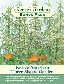 Visuel officiel de Renee's Garden associé aux semences de Trio potager Three Sisters, référence RN8171. Cet ensemble comprend le maïs Earth-Tones Indian Dent, le haricot grimpant Rattlesnake et la citrouille Sugar Pie. Il permet de découvrir une association traditionnelle de maïs, de haricots et de courges. Les trois cultures possèdent des ports et des usages culinaires complémentaires.