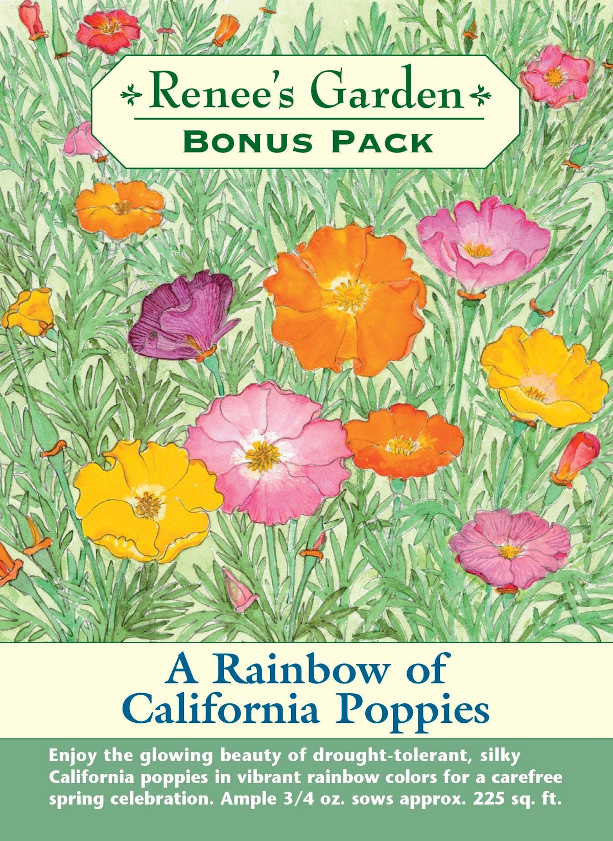 Visuel officiel de Renee's Garden associé aux semences de Pavots de Californie en mélange Rainbow, référence RN8173. Les fleurs satinées de ce mélange présentent des tons roses, magenta, jaunes, dorés et orange. Elles dominent un feuillage gris-vert finement découpé. Les plantes conviennent aux endroits ensoleillés et secs ainsi qu’aux plantations en groupes.