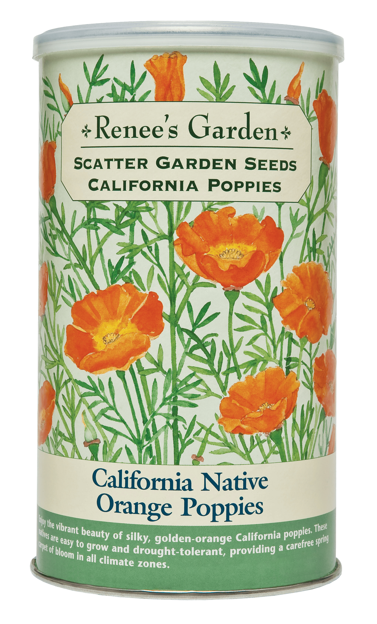Visuel officiel de Renee's Garden associé aux semences de Pavot de Californie orange, référence RN8187. Les fleurs en coupe dominent un feuillage gris-vert finement découpé. Ces pavots conviennent aux endroits chauds et secs. Le format en boîte à semer contient environ 51 g (1,8 oz) pour une surface annoncée d’environ 46 m² (500 pi²).