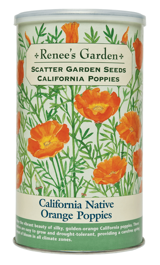 Visuel officiel de Renee's Garden associé aux semences de Pavot de Californie orange, référence RN8187. Les fleurs en coupe dominent un feuillage gris-vert finement découpé. Ces pavots conviennent aux endroits chauds et secs. Le format en boîte à semer contient environ 51 g (1,8 oz) pour une surface annoncée d’environ 46 m² (500 pi²).