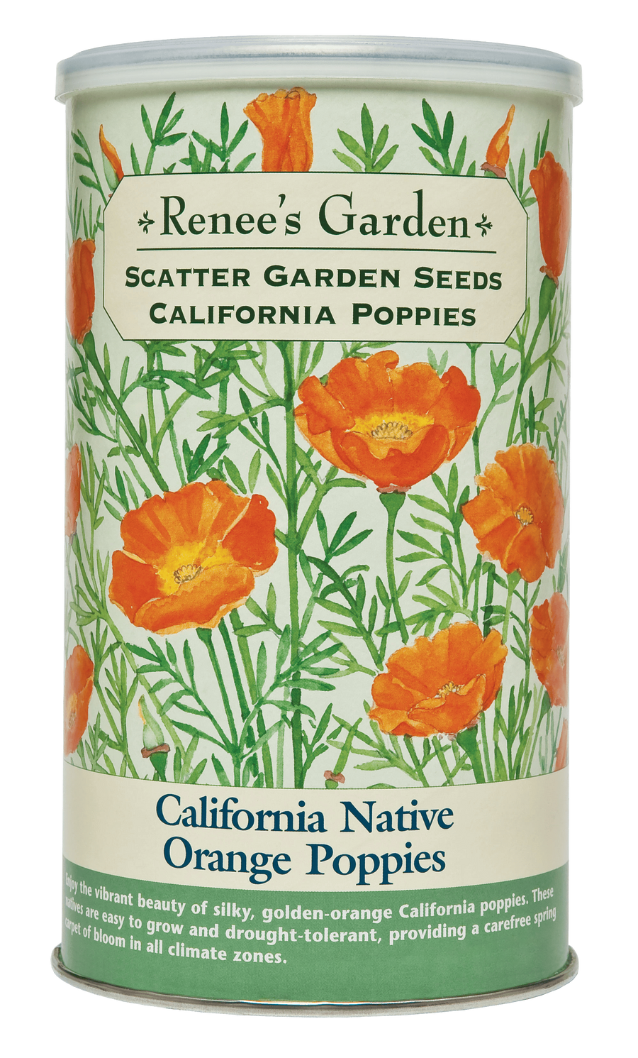 Visuel officiel de Renee's Garden associé aux semences de Pavot de Californie orange, référence RN8187. Les fleurs en coupe dominent un feuillage gris-vert finement découpé. Ces pavots conviennent aux endroits chauds et secs. Le format en boîte à semer contient environ 51 g (1,8 oz) pour une surface annoncée d’environ 46 m² (500 pi²).