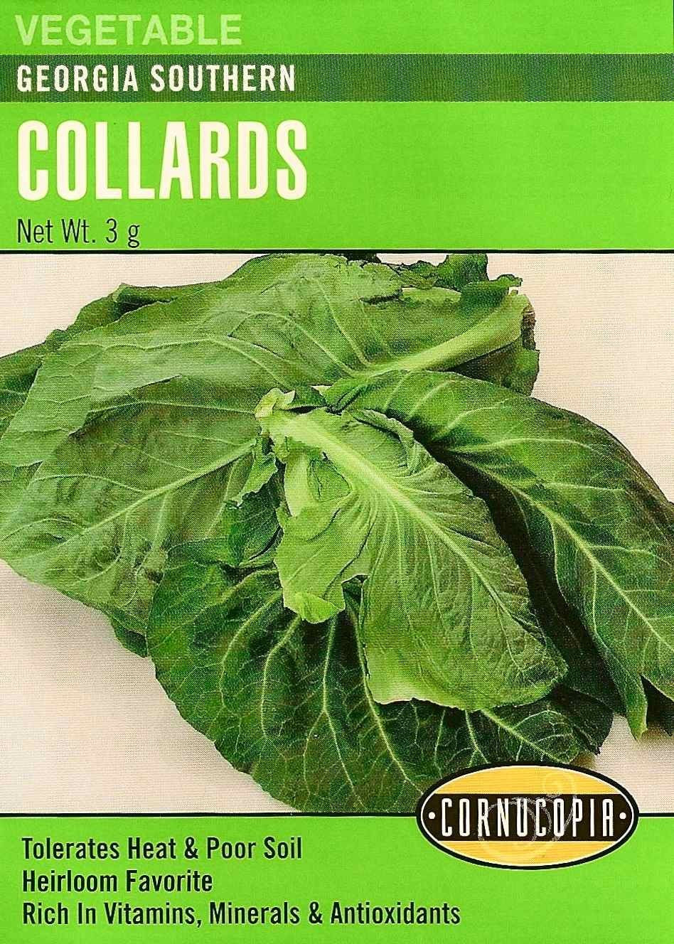 Visuel officiel de Cornucopia associé aux semences de Chou cavalier ‘Georgia Southern’, référence CS243. Les plantes peuvent atteindre environ 1,2 m (4 pi). Les grandes feuilles bleu-vert possèdent une saveur douce rappelant le chou et sont destinées à la cuisson. Le semencier annonce une récolte autour de 80 jours. Cette image accompagne la fiche de cette sélection et permet de repérer le produit correspondant dans le catalogue de semences.