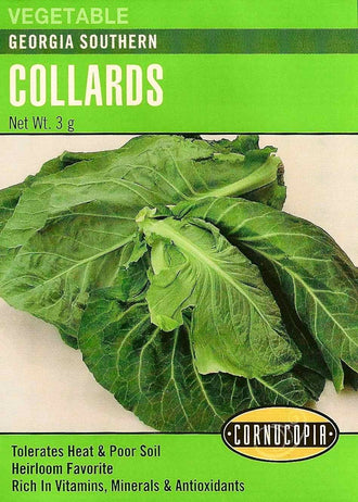 Visuel officiel de Cornucopia associé aux semences de Chou cavalier ‘Georgia Southern’, référence CS243. Les plantes peuvent atteindre environ 1,2 m (4 pi). Les grandes feuilles bleu-vert possèdent une saveur douce rappelant le chou et sont destinées à la cuisson. Le semencier annonce une récolte autour de 80 jours. Cette image accompagne la fiche de cette sélection et permet de repérer le produit correspondant dans le catalogue de semences.