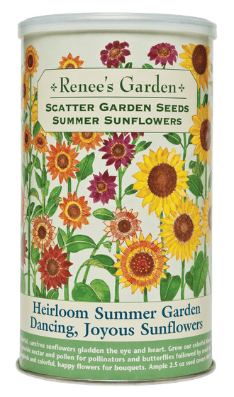 Visuel officiel de Renee's Garden associé aux semences de Mélange de tournesols Summer Sunflowers, référence RN8229. Ce mélange en boîte à semer associe Autumn Beauty, un tournesol ramifié multicolore, et Mammoth, un tournesol géant. Les fleurs accueillent les pollinisateurs et les graines mûres nourrissent les oiseaux. Le format couvre environ 37 m² (400 pi²).