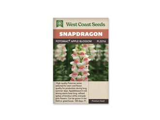 Sachet West Coast Seeds illustré par une photo de mufliers. Un épi de muflier présente des fleurs blanches teintées de rose pâle sur la lèvre inférieure, avec une gorge jaune. Des boutons verts et rosés se regroupent au sommet de la tige. D’autres épis semblables apparaissent derrière lui, parmi le feuillage vert. La fleur au premier plan montre nettement sa forme à deux lèvres.