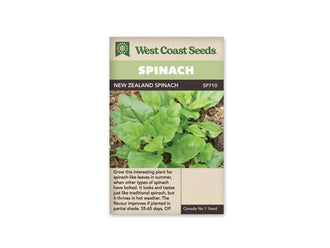 Sachet West Coast Seeds New Zealand Spinach montrant une plante basse à feuilles vertes charnues. Les feuilles triangulaires à ovales se répartissent sur des tiges ramifiées près du sol, avec quelques jeunes pousses au centre. De la terre et des débris végétaux apparaissent autour. Le nom est inscrit dans le bandeau brun du sachet.