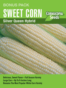 Visuel officiel de Cornucopia associé aux semences de Maïs sucré ‘Silver Queen’, référence CS8501. Ce maïs produit des épis à grains blancs, juteux et sucrés. La référence en grand format permet de préparer une plantation plus étendue de cette variété destinée à la consommation. Cette image accompagne la fiche de cette sélection et permet de repérer le produit correspondant dans le catalogue de semences.