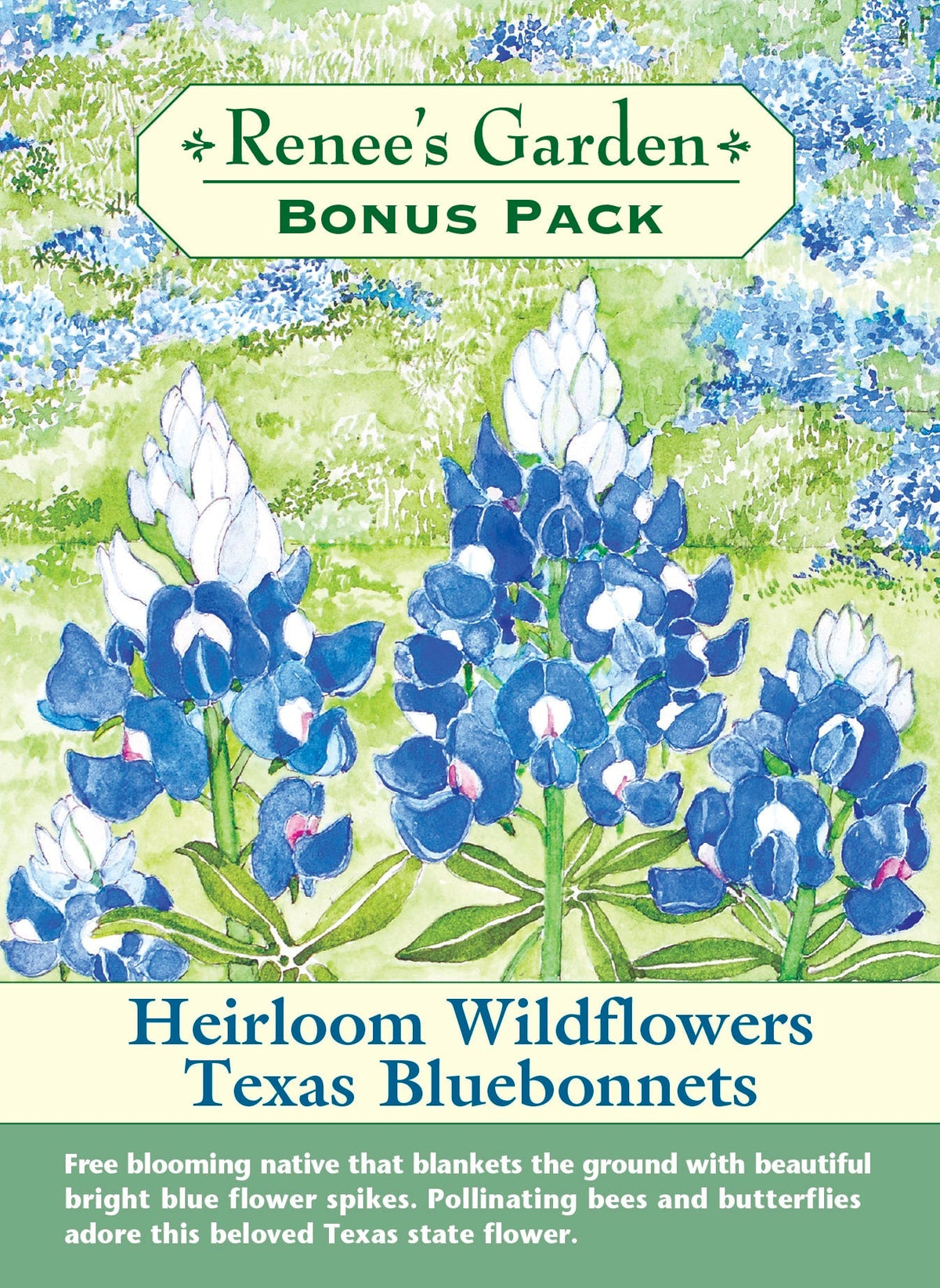 Visuel officiel de Renee's Garden associé aux semences de Lupin du Texas, référence RN8800. Les épis bleu vif se terminent par des fleurs blanches. Cette espèce originaire du Texas attire les pollinisateurs et peut se ressemer lorsque les gousses mûrissent. Les épis dressés apportent une forme verticale aux plantations. Cette image accompagne la fiche de cette sélection et permet de repérer le produit correspondant dans le catalogue de semences.