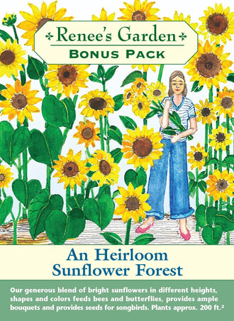 Visuel officiel de Renee's Garden associé aux semences de Mélange de tournesols A Sunflower Forest, référence RN8979. Ce mélange associe de grands tournesols à fleur principale et des tournesols ramifiés légèrement plus courts. Les hauteurs et les couleurs variées créent un ensemble étagé. Les fleurs accueillent les pollinisateurs et les capitules mûrs offrent des graines aux oiseaux.