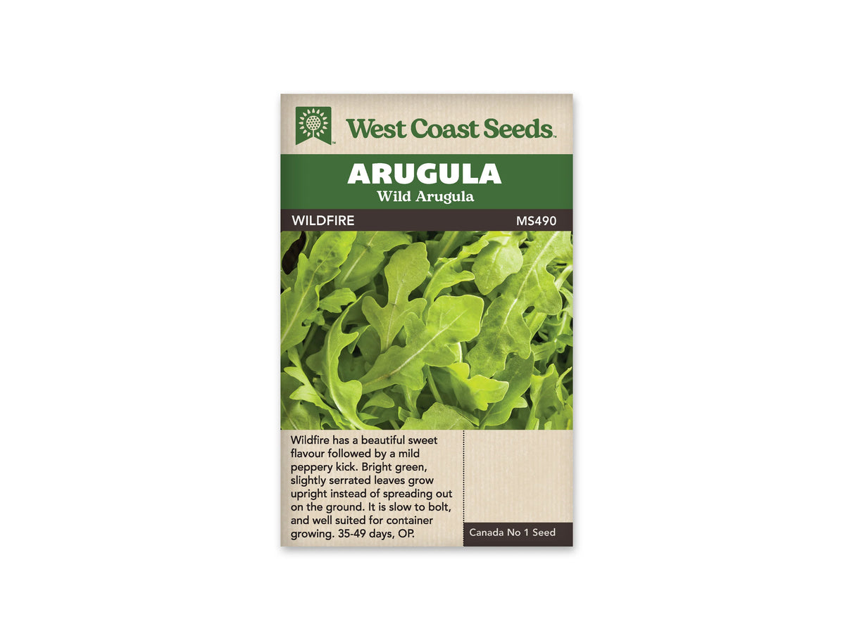 Sachet West Coast Seeds de roquette sauvage Wildfire, photographié de face sur fond blanc. Le nom Wildfire et la référence MS490 apparaissent sous le bandeau vert portant Arugula et Wild Arugula. La photographie montre un ensemble dense de feuilles vert clair à vert vif, lobées et légèrement dentées. Des renseignements de culture en anglais sont imprimés sur la partie beige inférieure de l’emballage.