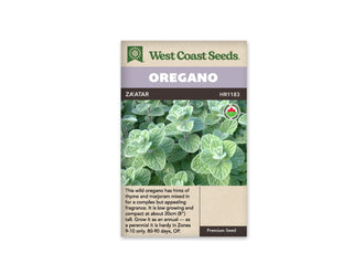 Sachet d’origan zaatar biologique West Coast Seeds présenté de face sur fond blanc. La photographie montre des feuilles gris-vert ovales, légèrement gaufrées, regroupées sur de petites tiges. Le bandeau mauve porte OREGANO, et ZAATAR apparaît sur la bande foncée. Un petit logo biologique est visible au-dessus de la description anglaise dans la partie beige inférieure.