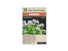 Sachet Blue Panther de West Coast Seeds sur fond blanc. La photo montre des bouquets de petites fleurs bleu lavande pâle au sommet de tiges dressées. Des feuilles vertes dentées, opposées par paires, remplissent le bas de la plante sur un fond sombre. Le bandeau orange indique Nepeta; la bande brune porte Blue Panther et le code FL3843.