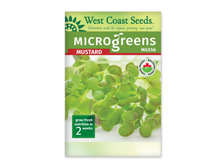 Sachet blanc West Coast Seeds pour micropousses de moutarde, avec le nom anglais Mustard en rouge sous un bandeau vert. La photo montre de petites feuilles vertes arrondies, parfois nuancées de pourpre, sur des tiges pâles. Le code MG556 figure sous le nom. Le logo biologique canadien apparaît à droite et le délai de deux semaines en bas.