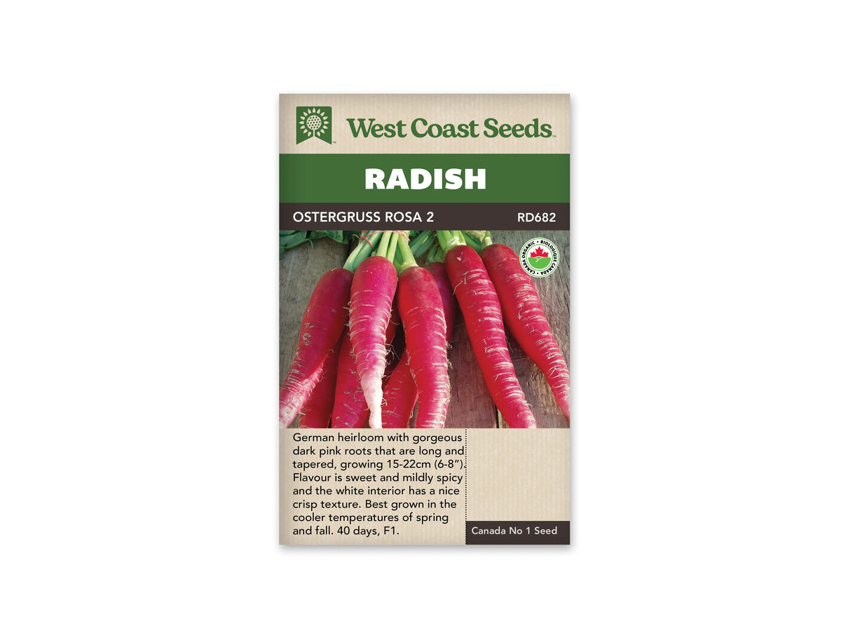 Sachet West Coast Seeds Ostergruss Rosa 2 montrant des radis rose foncé alignés sur des planches de bois. Les racines longues et effilées portent de fines marques claires, et leurs bases de tiges vertes dépassent en haut. Un logo biologique rond figure à droite, sous le bandeau brun portant le nom.