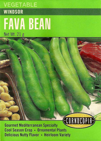 Visuel officiel de Cornucopia associé aux semences de Fève ‘Windsor’, référence CS264. Cette fève de saison fraîche produit des grains à la saveur rappelant la noix. Ils peuvent être cuits à la vapeur ou sautés et entrent dans plusieurs cuisines méditerranéennes. Le semencier annonce une récolte autour de 85 jours.
