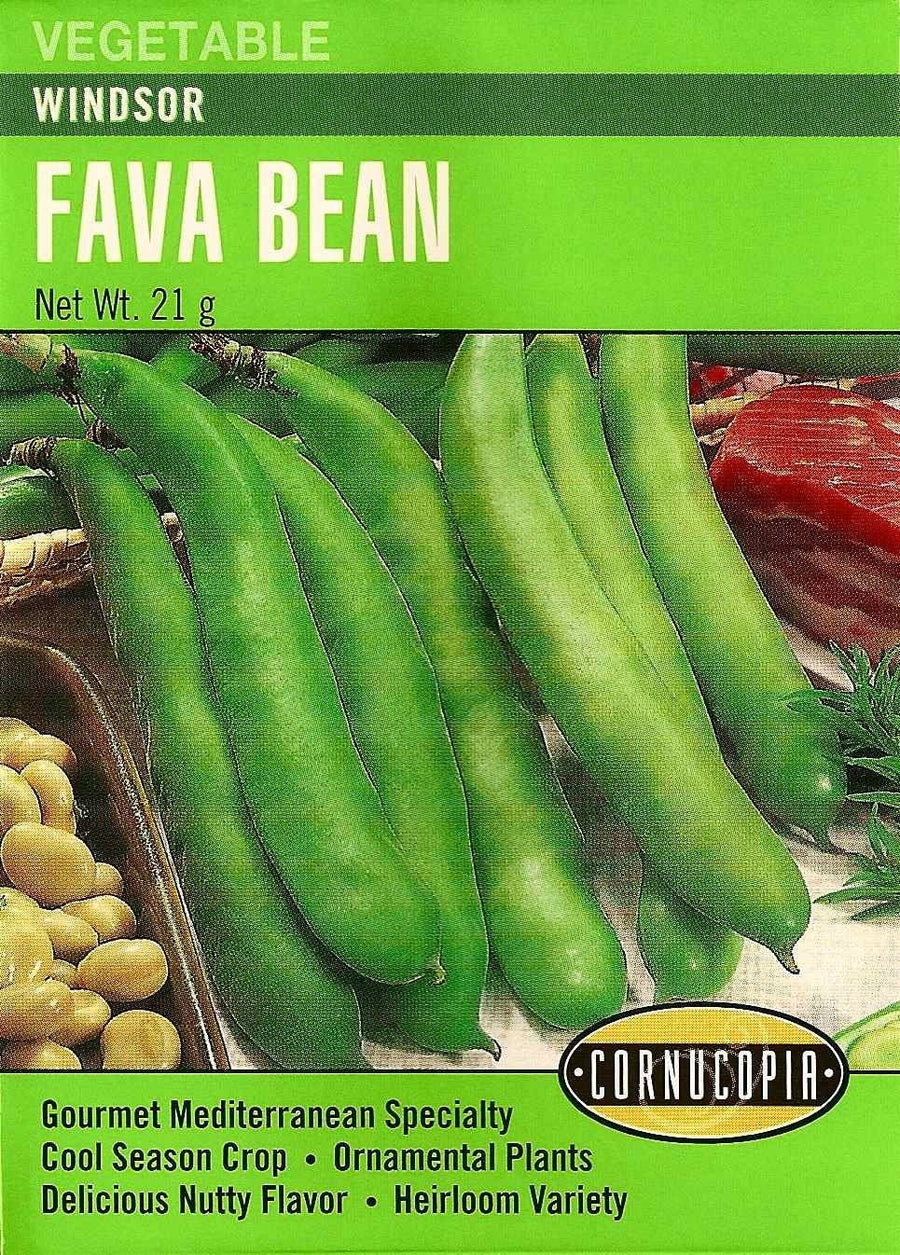 Visuel officiel de Cornucopia associé aux semences de Fève ‘Windsor’, référence CS264. Cette fève de saison fraîche produit des grains à la saveur rappelant la noix. Ils peuvent être cuits à la vapeur ou sautés et entrent dans plusieurs cuisines méditerranéennes. Le semencier annonce une récolte autour de 85 jours.