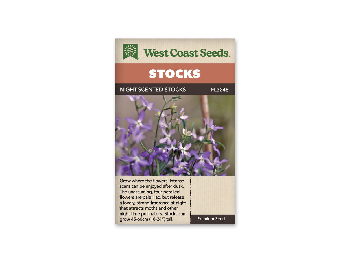 Le sachet de West Coast Seeds montre de petites fleurs lilas à quatre pétales sur des tiges fines et ramifiées. Des boutons allongés et quelques feuilles étroites apparaissent entre les fleurs. L'arrière-plan est flou, dans des tons verts et bruns. Le bandeau indique Night-Scented Stocks et la référence FL3248 au-dessus de la photographie.