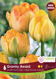 Tulipe Granny Award ( Tulipa ) : des tulipes doubles jaune crème teintées d’orange. Le visuel Florissa présente la plante et son nom dans la partie inférieure de l’étiquette. La photographie occupe presque toute la surface, tandis que le bandeau du bas rassemble les indications du produit. Cette vue permet de reconnaître son apparence et de distinguer la variété présentée.