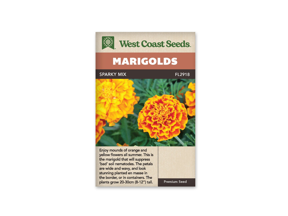 Sachet Sparky Mix de West Coast Seeds présenté sur fond blanc. Plusieurs fleurs d’œillets d’Inde remplissent la photo, avec des pétales jaunes, orange et rouges, souvent réunis sur le même capitule. Leur cœur est frisé et leur forme bien remplie. Des feuilles vertes découpées apparaissent entre les fleurs. Le bandeau orange indique Marigolds et la bande brune porte Sparky Mix.