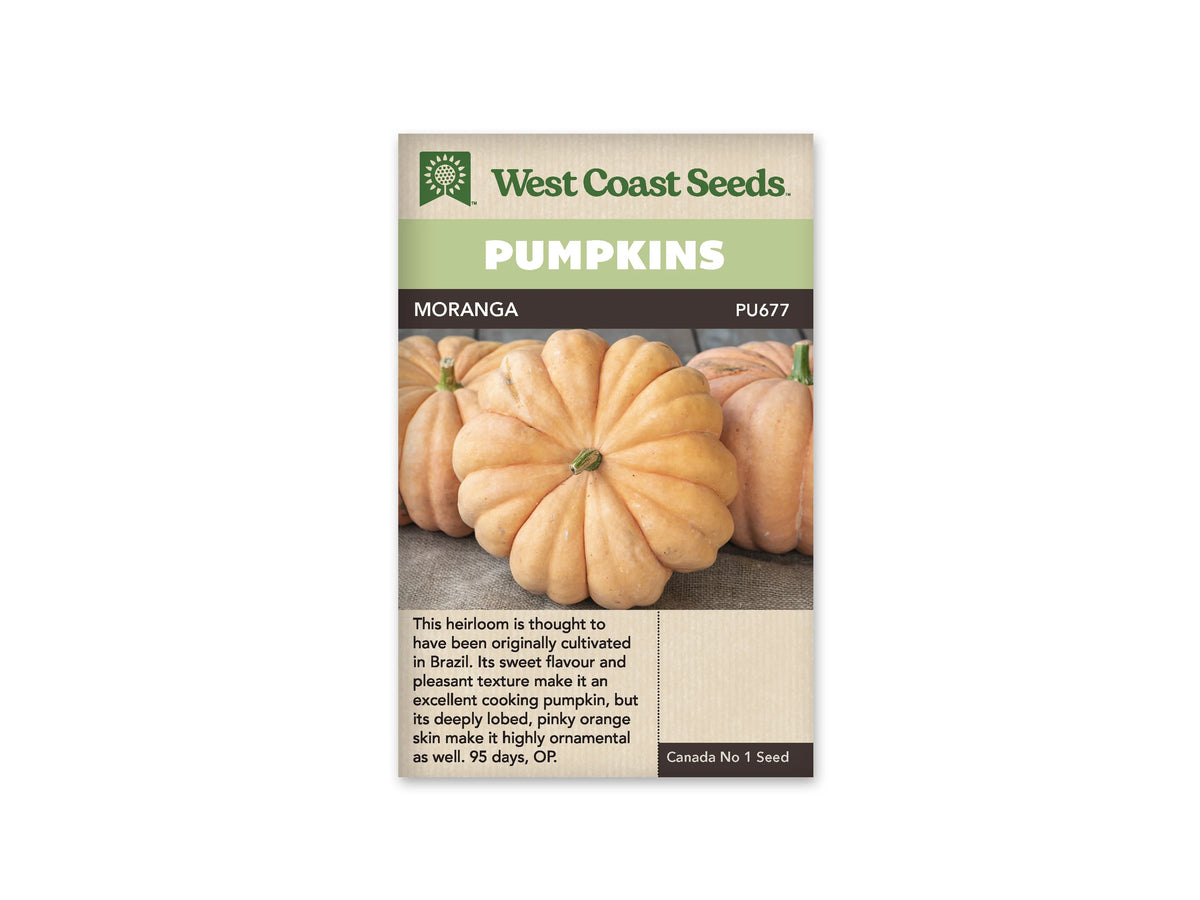 Sachet Moranga de West Coast Seeds avec un bandeau vert pâle et le nom sur fond sombre. La photo présente plusieurs citrouilles rose orangé, aplaties et divisées en lobes profonds. Le fruit au centre est vu presque de dessus, avec un petit pédoncule vert. Les fruits reposent sur une toile brune, au-dessus du texte du sachet.