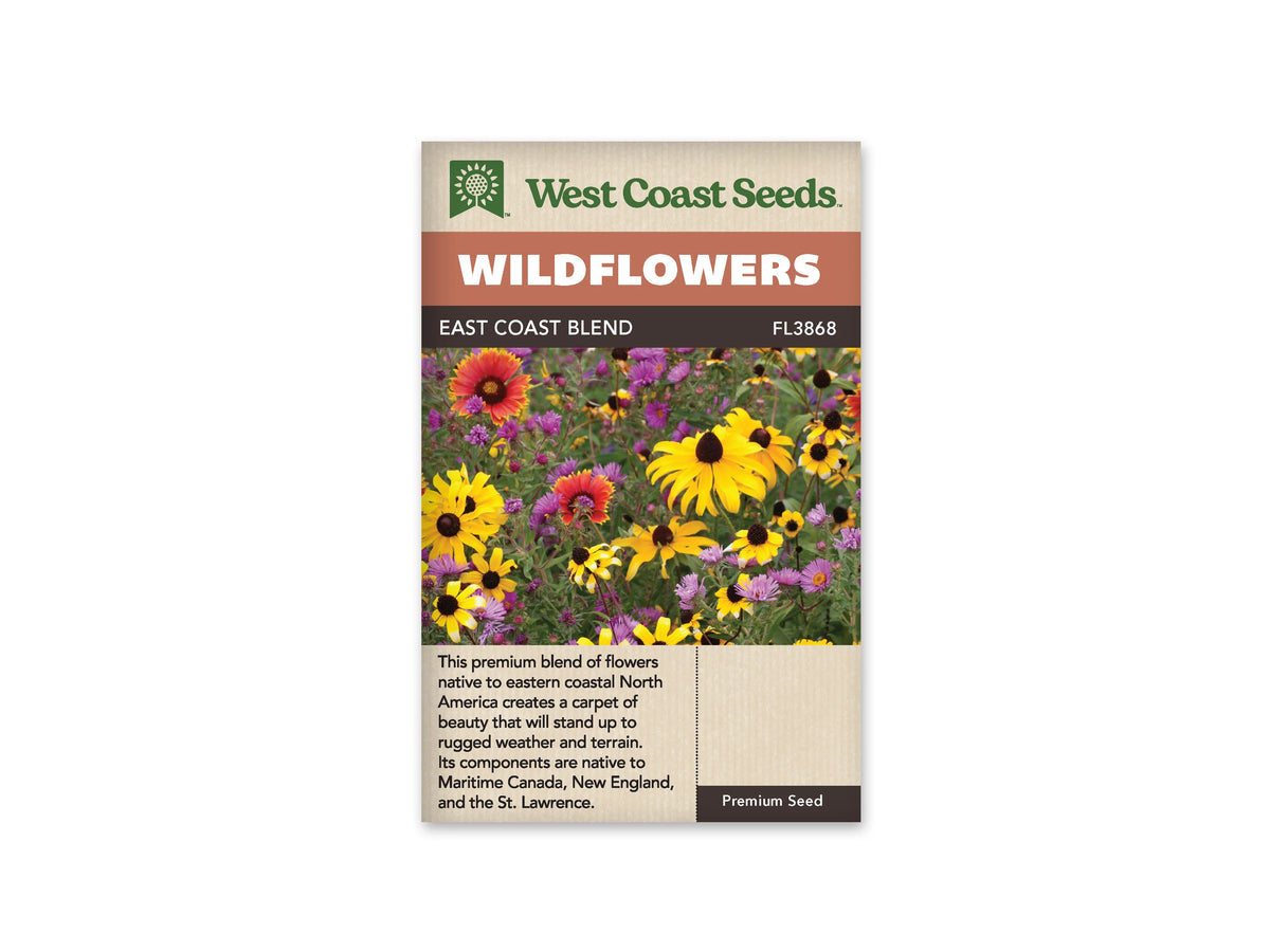 Sachet West Coast Seeds East Coast Blend montrant de grandes fleurs jaunes à centre sombre, des fleurs orange rouge et de petits asters violets. Les corolles se mêlent dans un feuillage vert, à plusieurs hauteurs. Des boutons et des têtes encore fermées apparaissent entre les fleurs. La photo présente une scène dense aux couleurs contrastées.